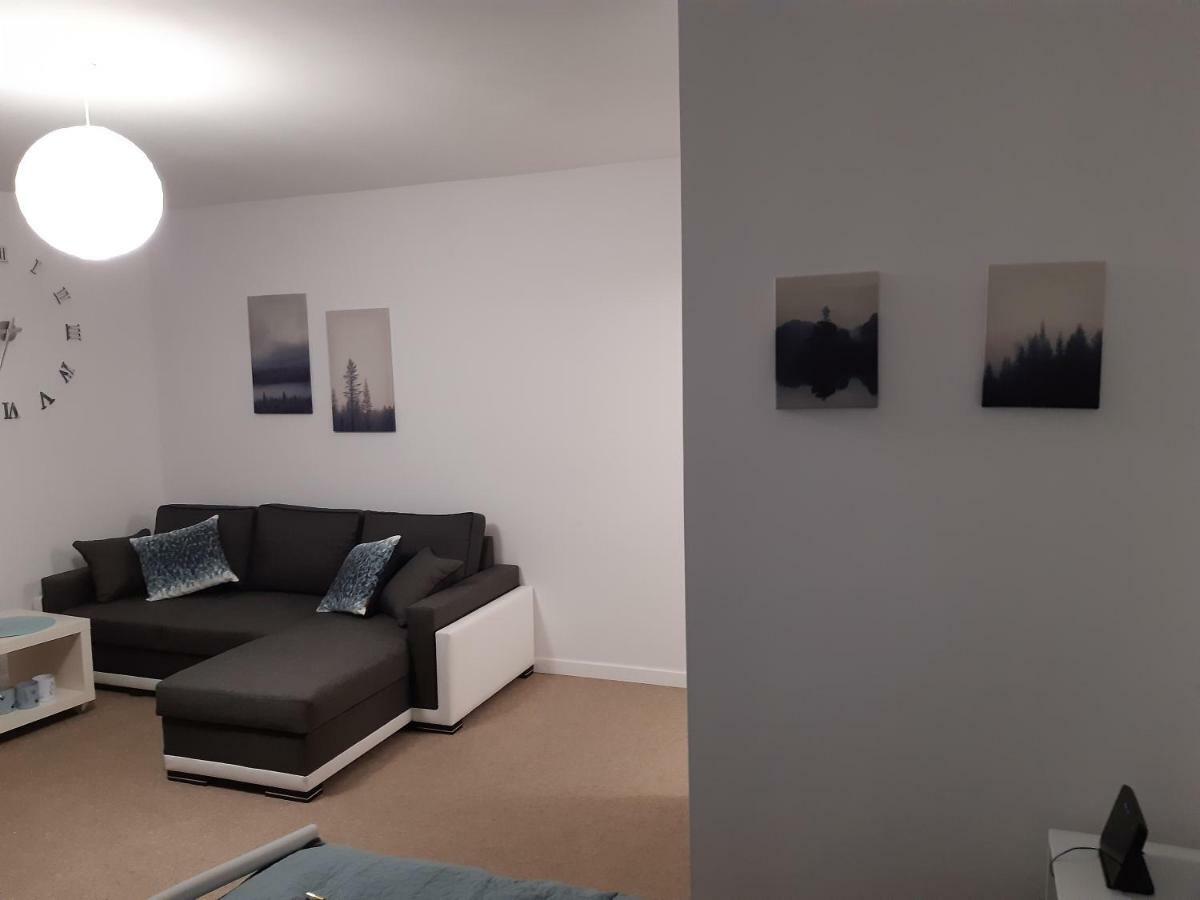 Apartament Viktoriia *