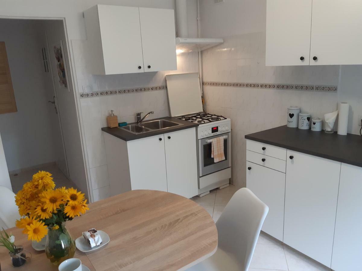 Viktoriia Apartment Torun